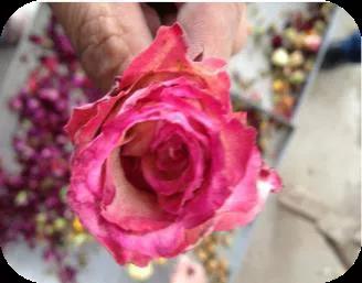 8cfbf59a89f40a84c98075b499494919_20210122142940_98372